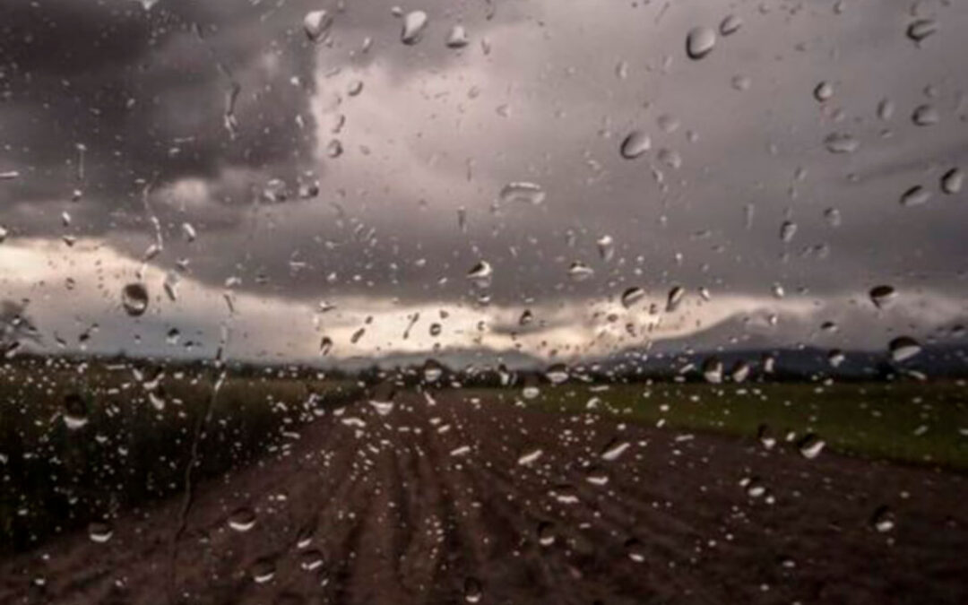 Las fuertes lluvias hacen que se paren todas las labores agronómicas en León y se frene la siembra, lo que puede afectar a cumplir la PAC