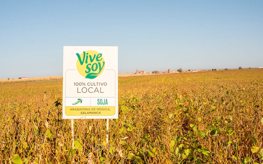 Pascual compra un 25% más de cultivos nacionales para Vivesoy en 2022 en su compromiso con la economía rural y los productos de proximidad