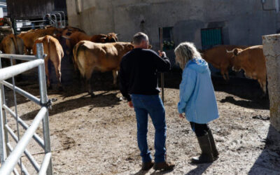 El Ministerio de Agricultura concede ayudas con un importe máximo de 1.500 euros a 916 explotaciones agrarias de titularidad compartida