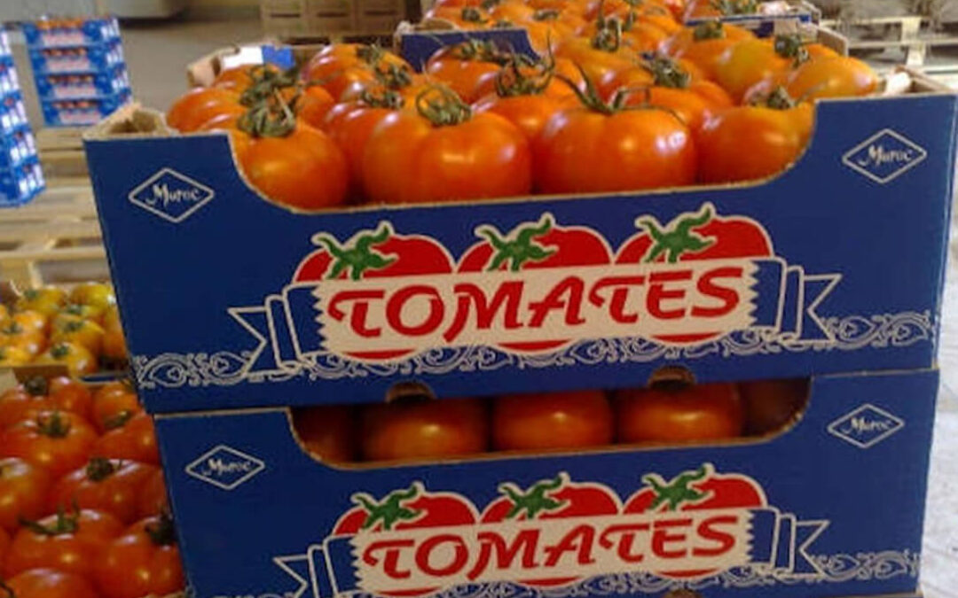 Los privilegios de la UE al agronegocio en Marruecos abocarían a España a ser importador neto de tomates en 2035