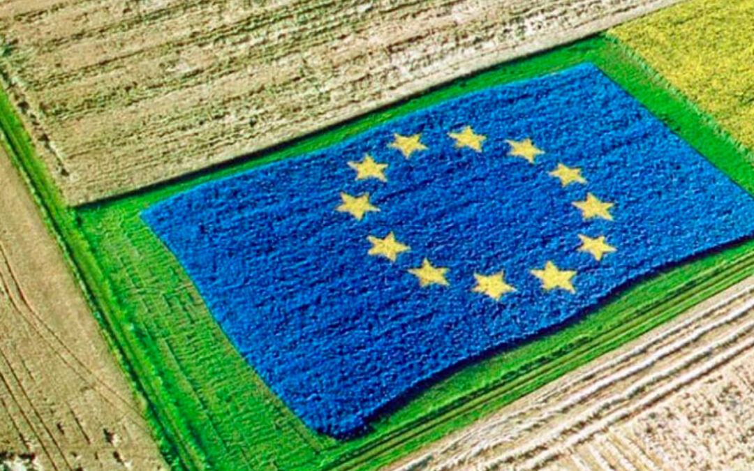 Piden a Bruselas la necesidad de tener en cuenta la sostenibilidad económica y social de la agricultura para alcanzar la ambiental