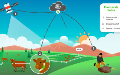 Proyecto Airegan: Inteligencia artificial para reducir la huella de carbono gracias a la ganadería extensiva