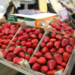 WWF inicia una nueva campaña para alertar a los supermercados europeos sobre los frutos rojos ilegales del entorno de Doñana
