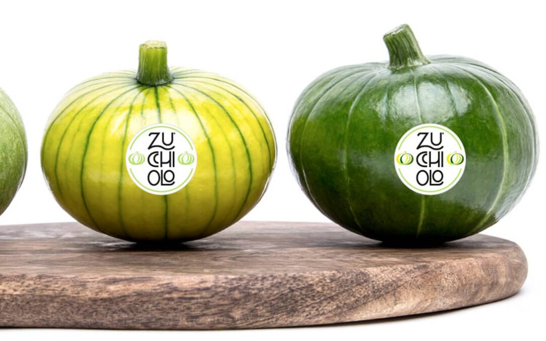 Zucchiolo, la nueva hortaliza entre el pepino y el calabacín que se va a comercializar