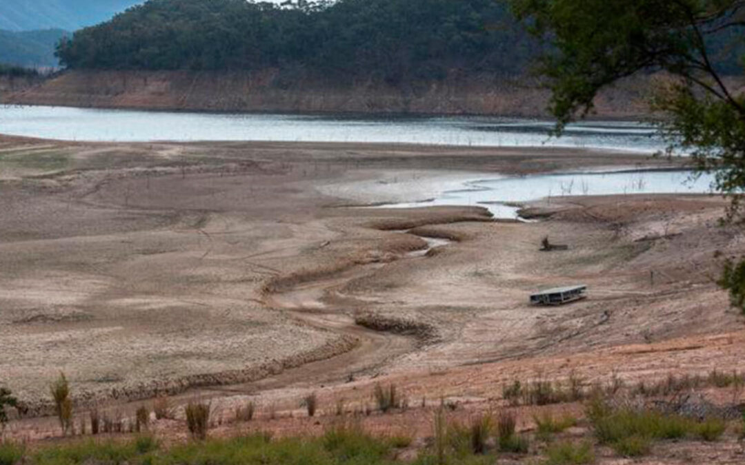 Las organizaciones de regantes andaluzas se unen para urgir a soluciones sobre el déficit hídrico agravado por la sequía