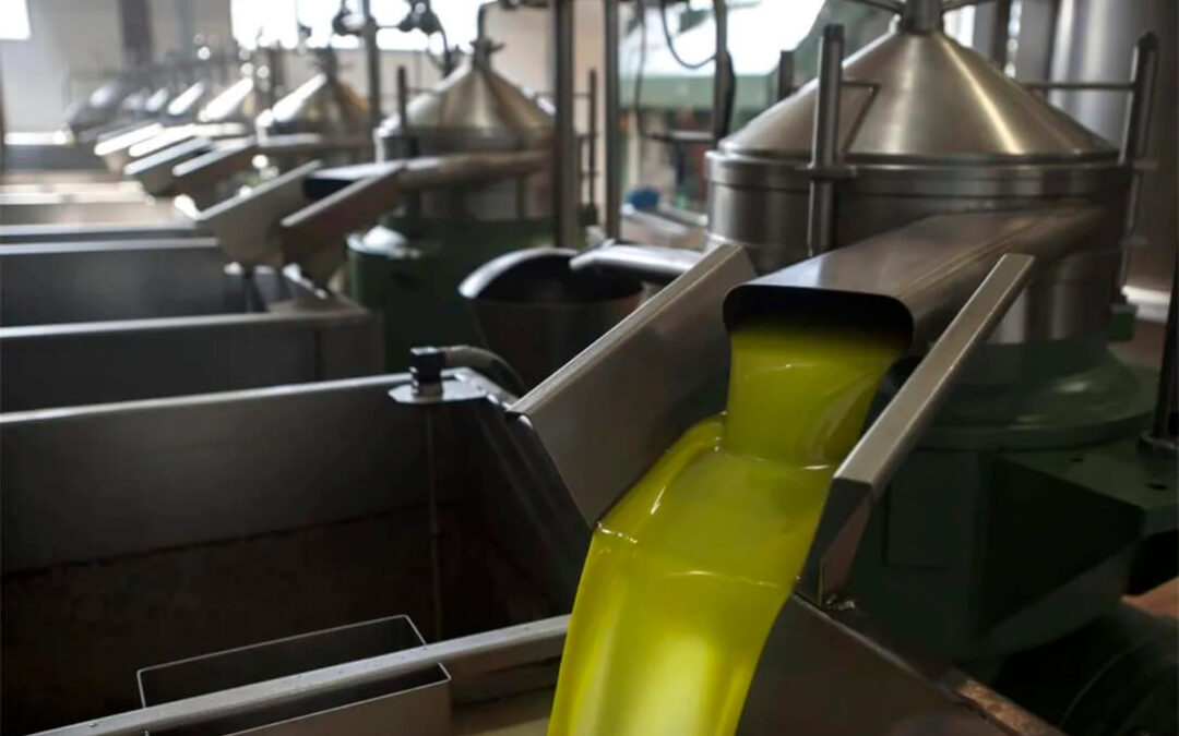 El precio en origen del kilo de aceite de oliva ha bajado un euro en los últimos dos meses