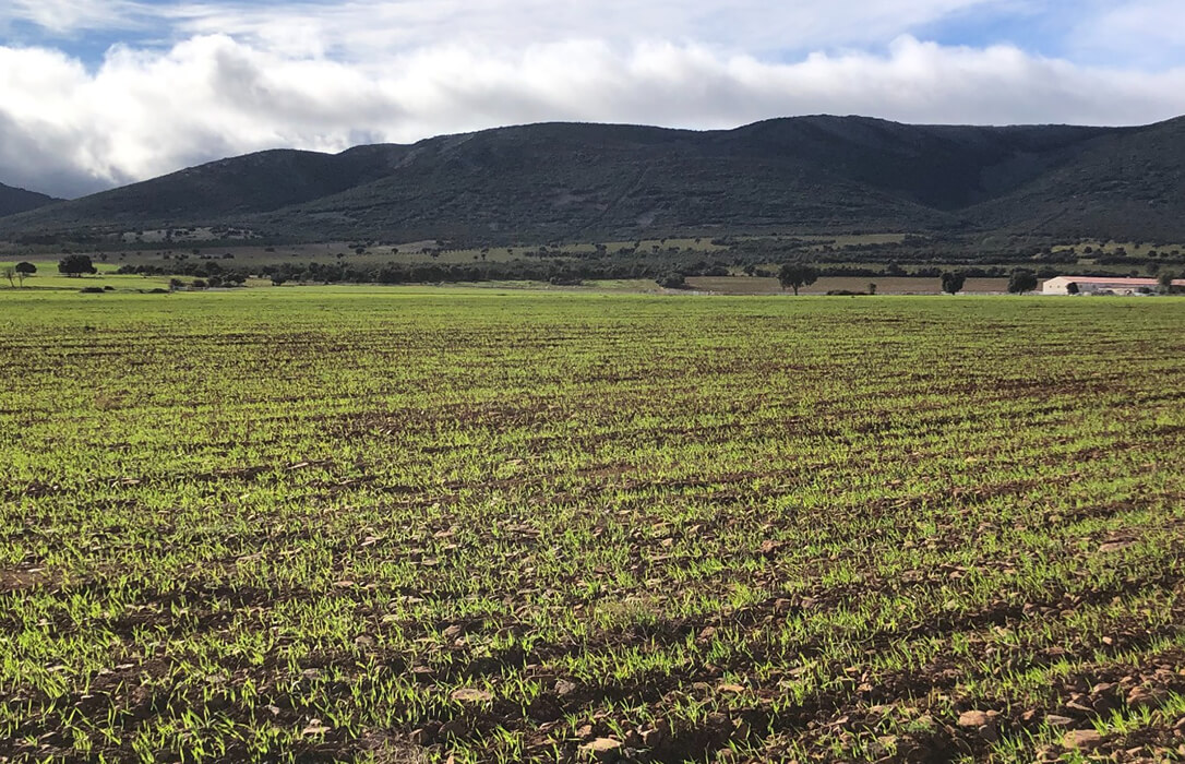 España destina ya casi el 11% de su superficie de cultivo a la producción ecológica con 2,4 millones de hectáreas de superficie