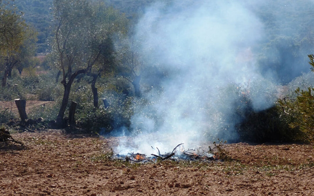 Critican que un procedimiento interno de la Junta andaluza está perjudicando las autorizaciones para las quemas en terrenos forestales
