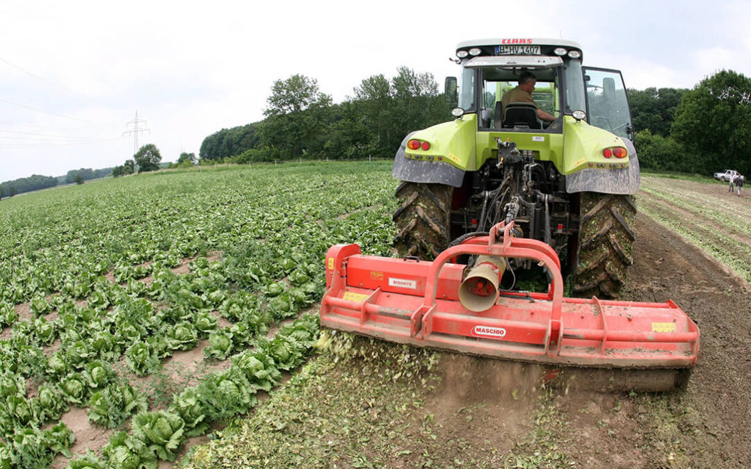 El Fega aclara la actualización del visor de parcelas para ayudar a los agricultores a planificar sus siembras y evitar incumplimientos