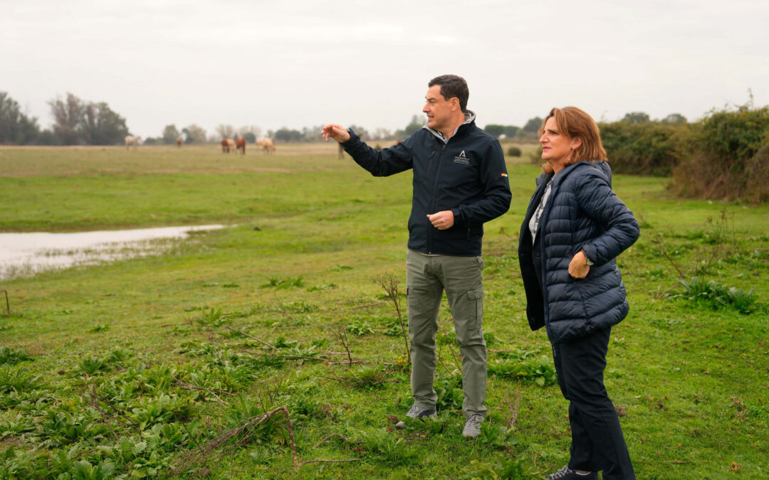 El acuerdo entre Gobierno y Junta en Doñana permitirá una ayuda de 100.000 euros por hectárea por abandonar los cultivos