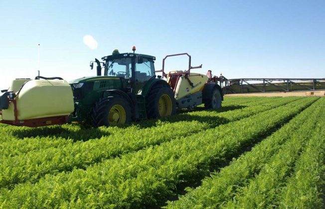 Andalucía reclama al Estado una férrea defensa ante el reglamento europeo que prevé una reducción de fitosanitarios al 50%