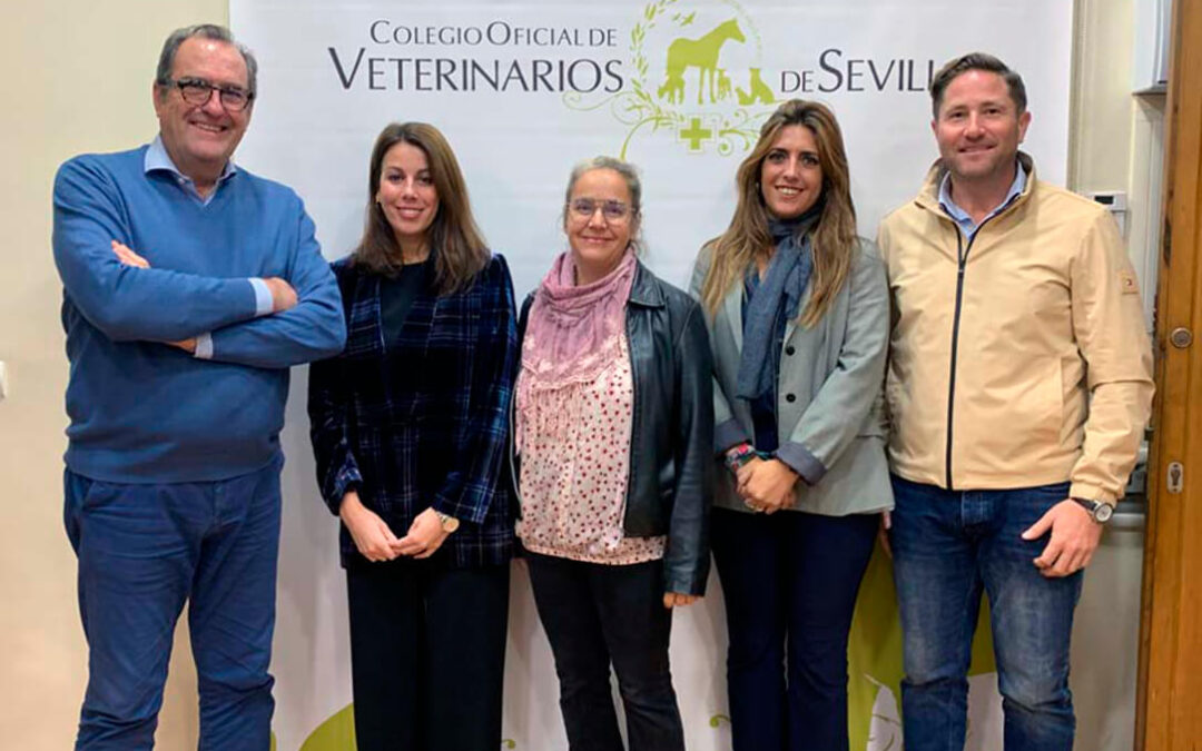 El Colegio de Veterinarios de Sevilla aclara las novedades de la nueva Ley 7/2023 de Protección y Bienestar de los Animales