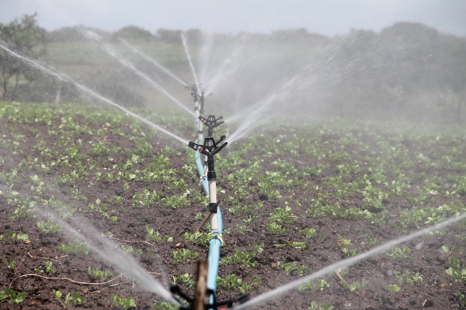 El presidente CHG defiende la medida de reducir en un 15% las dotaciones de agua disponible para riego en el Alto Guadiana