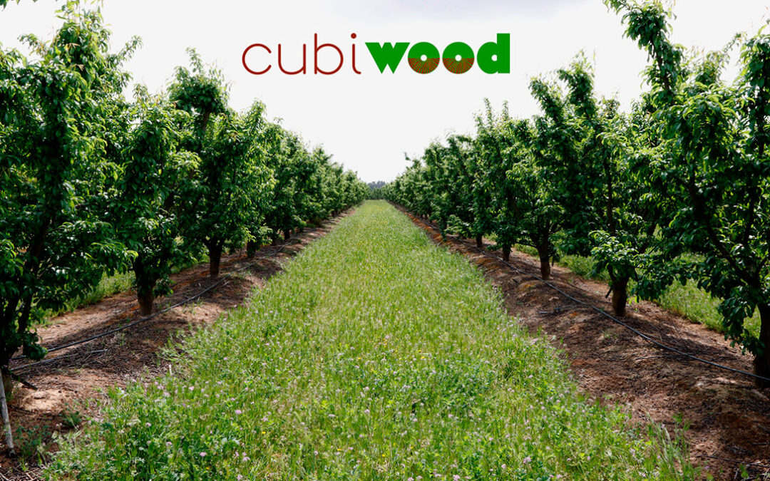 UPA lanza el proyecto Cubiwood para ayudar a los agricultores a implementar cubiertas vegetales en cultivos leñosos