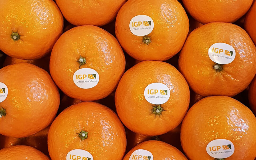 IGP Cítricos Valencianos y Alcampo se unen para llevar a los clientes naranjas, limones y mandarinas con el sello de calidad