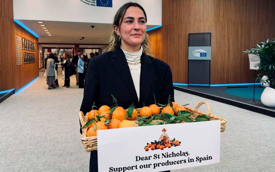 Reparten mandarinas procedentes de la Comunidad Valenciana en el Parlamento Europeo para denunciar la competencia desleal que sufre el sector