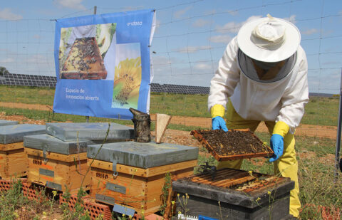 Miel Solar de Endesa®, denominación de origen certificada para