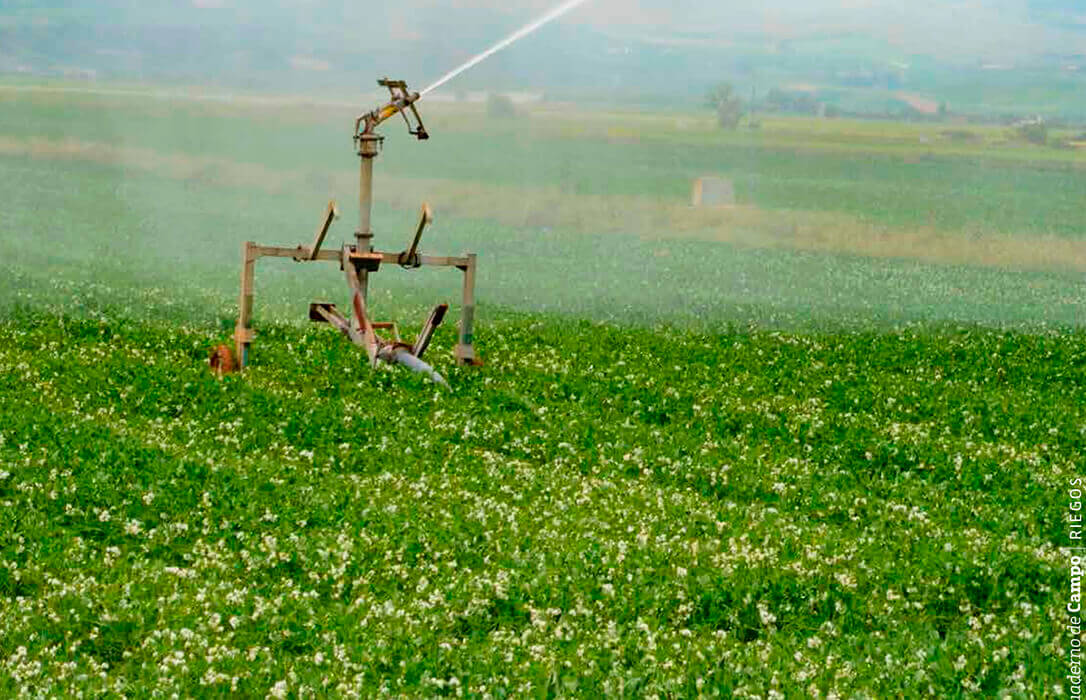 El sector agrario que haga un uso eficiente del agua podrá flexibilizar ...