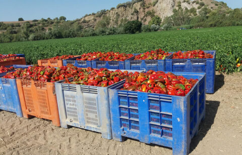 La AICA arranca el año con multas a 34 empresas por 136.424 euros por