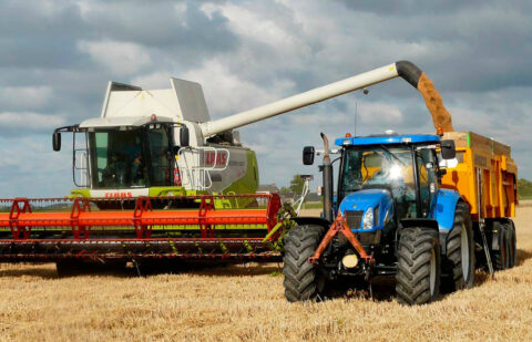 Los cereales cerraron 2023 confirmando su tendencia bajista, especialmente en el trigo, y miran al 2024 con la vista puesta en la guerra de Ucrania