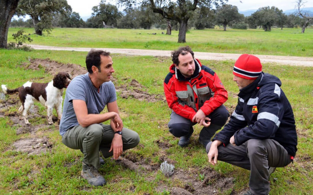 Impulsando el relevo: Cuatro jóvenes agricultores se formarán en explotaciones modelo de Extremadura gracias al Programa Cultiva y UPA-UCE