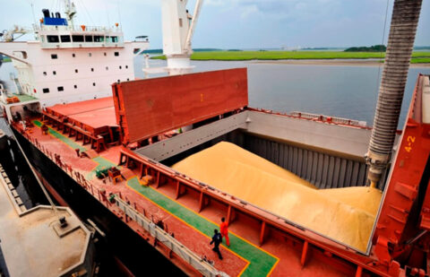 Nuevos apuntes negativos en la tablilla cerealista de la lonja del Ebro con abundante oferta de producto en puerto
