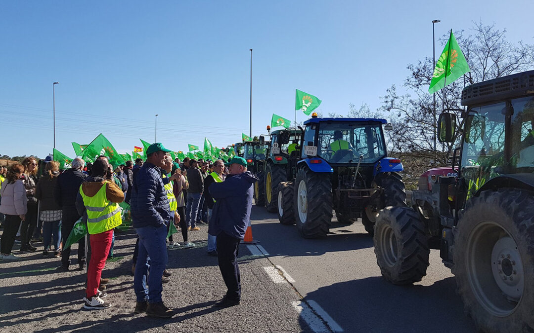 La primera protesta del año: Los agricultores onubenses se manifestarán en Sevilla el próximo 1 de febrero ante la falta de soluciones