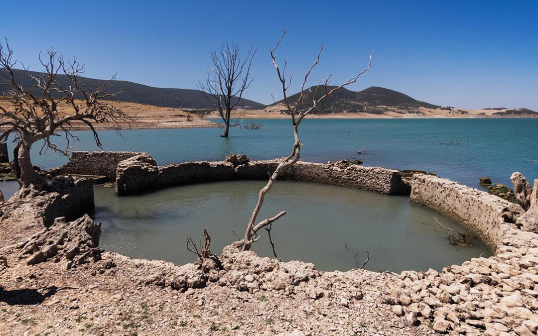Piden la creación urgente de una Mesa del Agua provincial ante la situación límite del regadío en la provincia de Cádiz