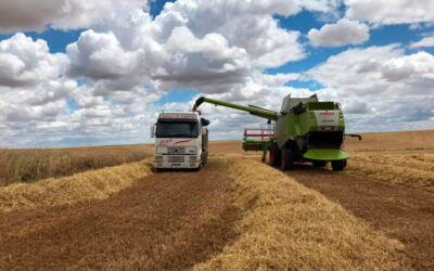 Pérdida media de 5 euros en todos los cereales en la lonja de León ante la previsión de un aumento de la producción mundial