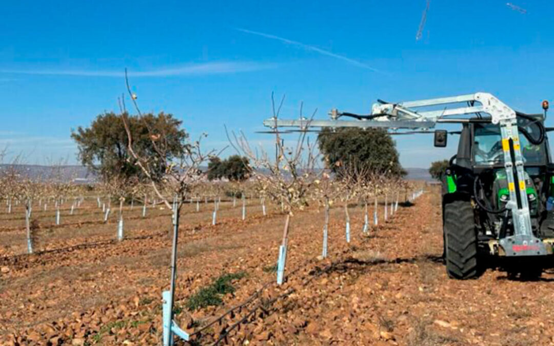 Sistema innovador para el cultivo del pistacho: «A muchos productores no les va a quedar otra que optar por la poda mecanizada»