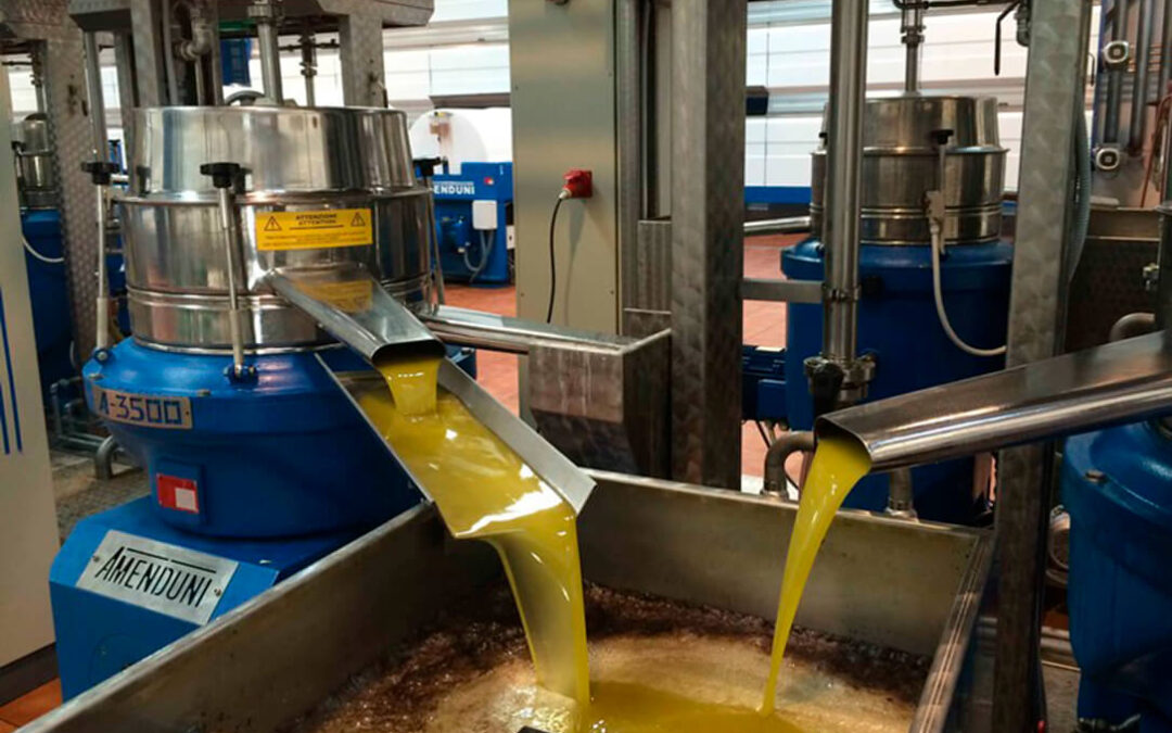 El Gobierno espera una producción final de aceite de oliva de cerca de las 800.000 toneladas, levemente por encima del aforo previsto