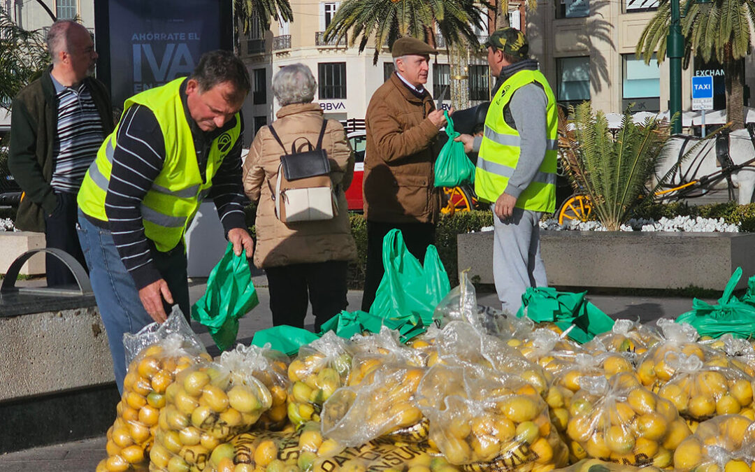 Los agricultores prefieren repartir 3.000 kilos de limones entre los vecinos a “regalárselos” a los especuladores a precios de ruina