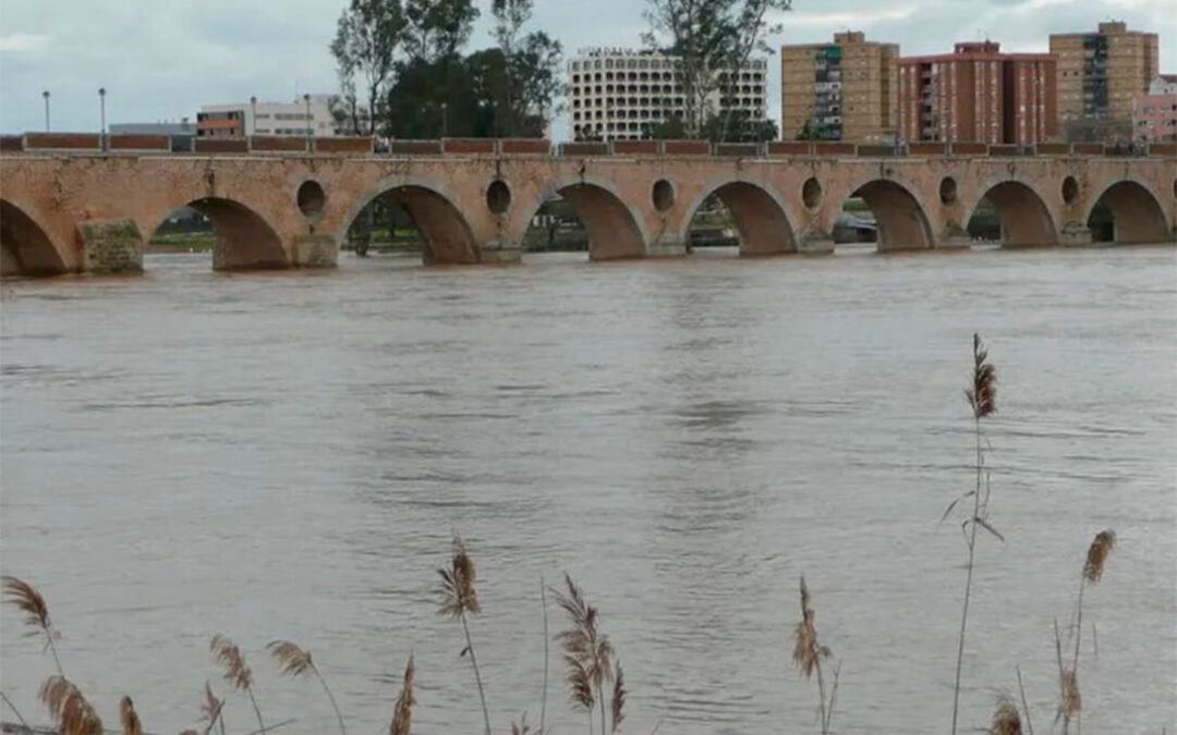 Alivio en Extremadura: los agricultores afirman que campaña de regadío ha dado un vuelco y una ventana de esperanza tras las últimas lluvias