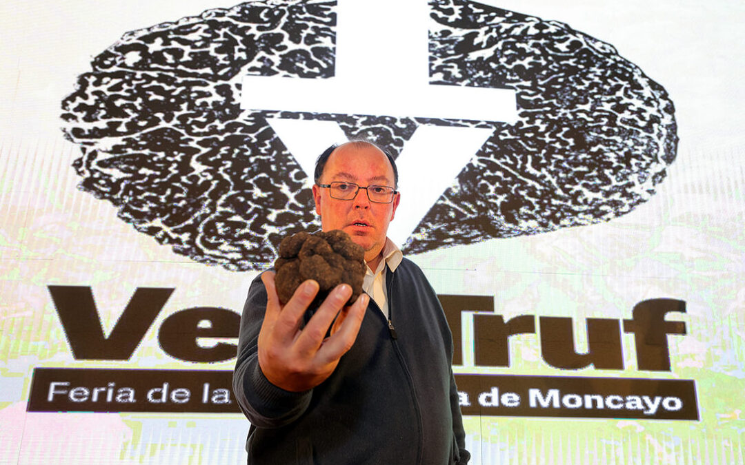 La trufa más grande del concurso de Veratruf, la Feria de la Trufa de Vera de Moncayo, subastada por 5700 €