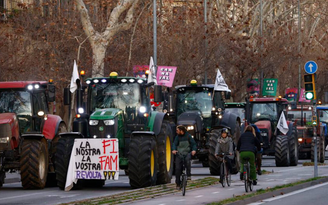 Las principales lonjas han decidido no cotizar esta semana en solidaridad con las protestas y las que lo hicieron bajaron entre 4 y 7 euros