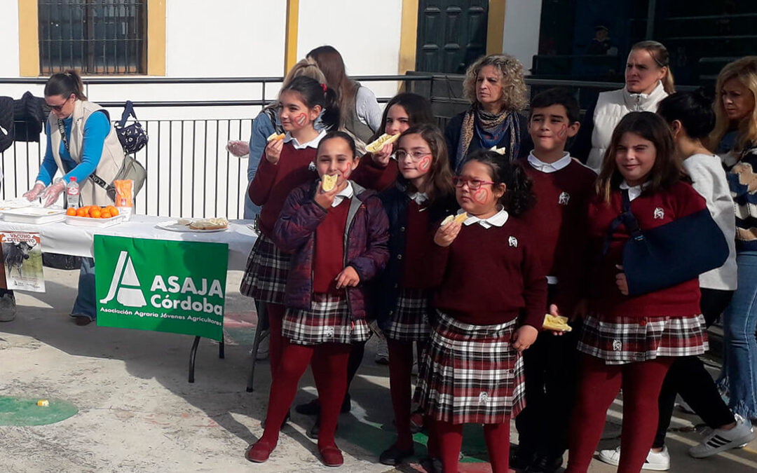 Campaña de promoción para recuperar el consumo de aceite de oliva en los desayunos en los colegios por el Día de Andalucía