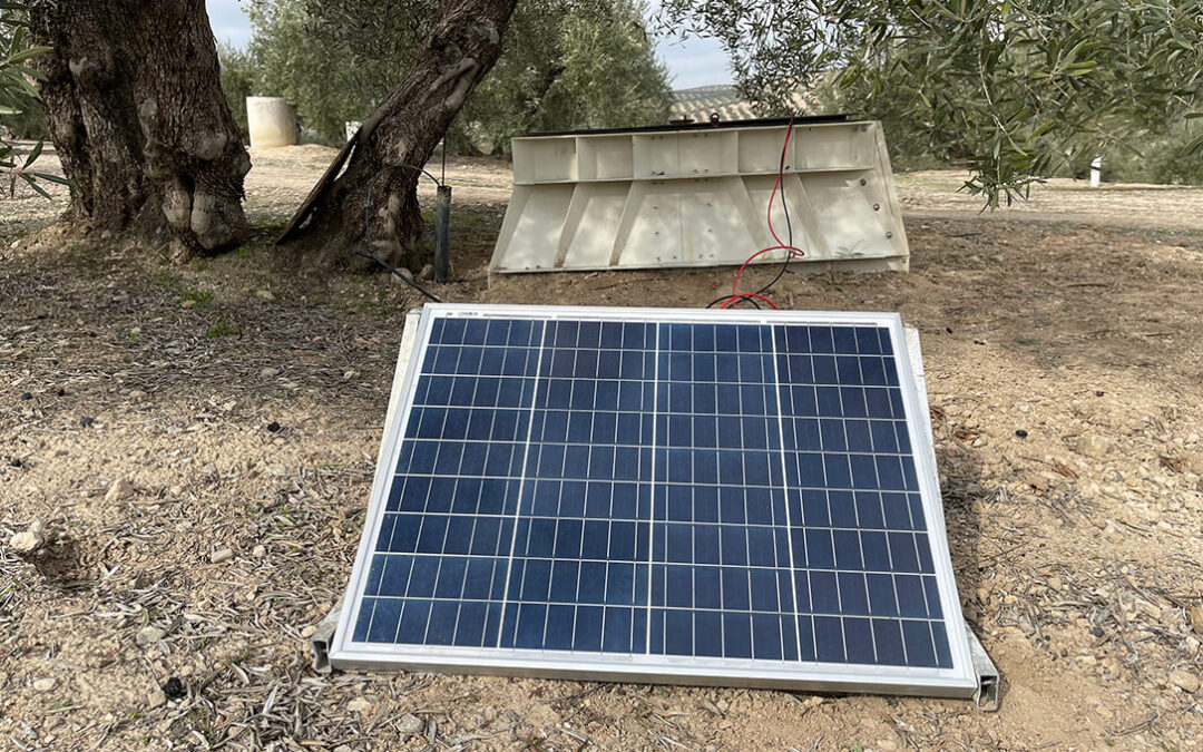 El proyecto ITO FOG ajusta los tiempos de riego en el olivar a las condiciones climatológicas con tecnología low-cost