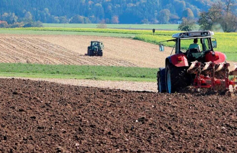 España llevará la simplificación de la PAC al próximo Consejo de Agricultura de la UE, donde defenderá que se apliquen las cláusulas espejo