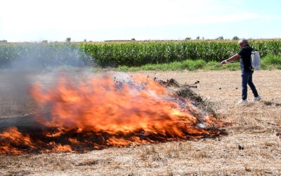 Los incendios forestales nacen en invierno y se desarrollan en primavera y verano, ¿Y si existe una solución?