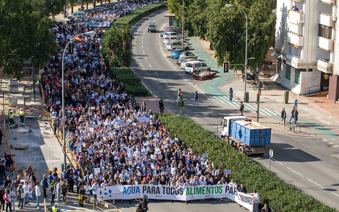 Más de 15.000 agricultores, según los organizadores, respaldan en Sevilla la primera gran manifestación del campo español