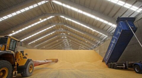 Otra semana más sigue la tendencia bajista en los precios de los cereales de la lonja del Ebro con el comprador desaparecido