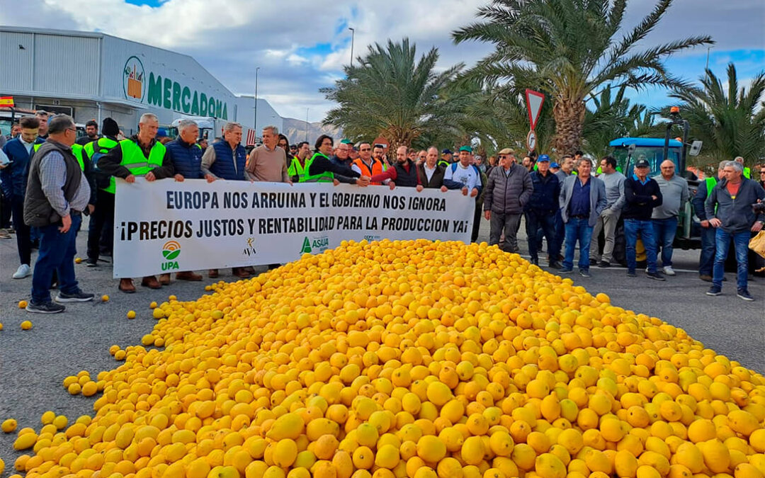 Tractoradas, reparto de naranjas, limones y heno en el suelo: la protesta agrícola no dan tregua pese a los pasos dados por el Gobierno