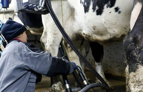 Los productores europeos de leche reclaman a la CE un mejor reparto en la cadena de valor o advierten de que iniciarán protestas