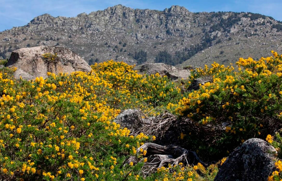 Arrecian las críticas a la Ley de Restauración de la Naturaleza