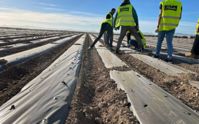 Una agricultura sin plásticos es posible: «AgroPaper es más que un acolchado de papel biodegradable, es sostenible y es la alternativa»