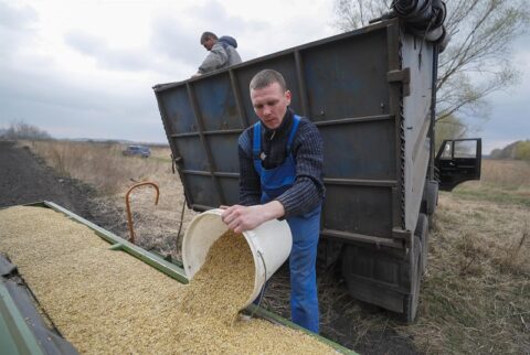 La Comisión Europea propone incrementar los aranceles a las importaciones de cereales de Rusia y Bielorrusia