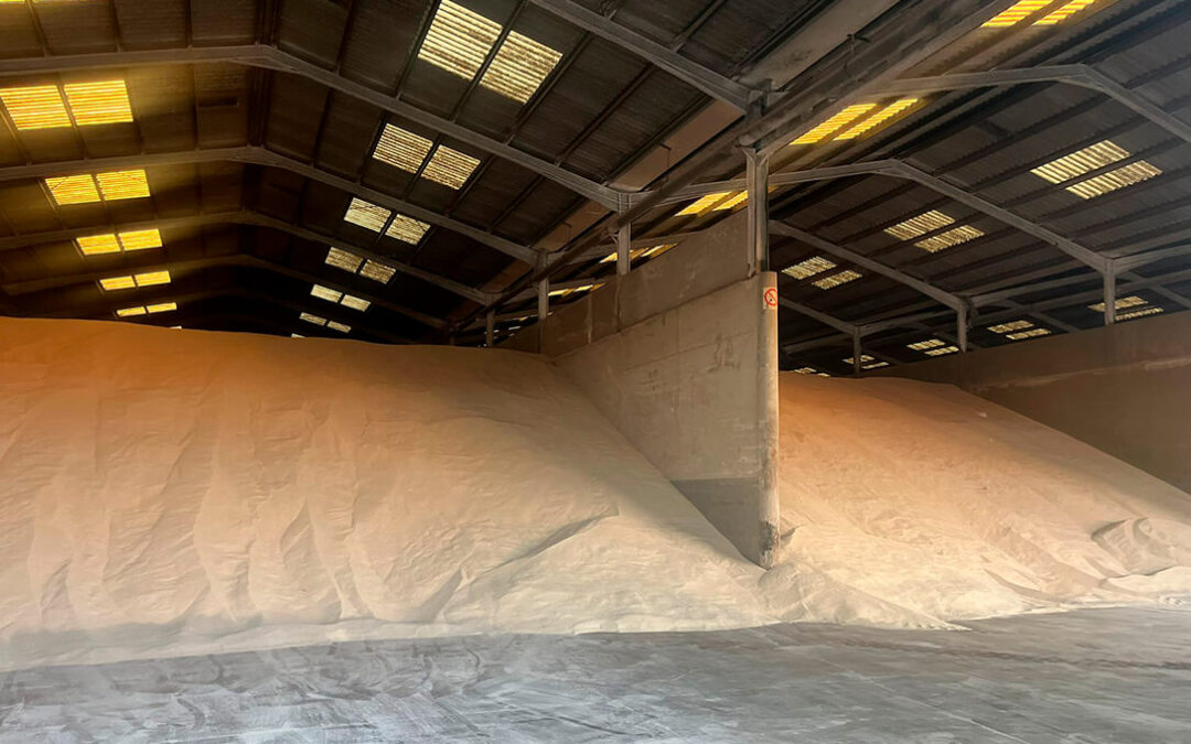 Empresas españolas y valencianas distribuyen en solo tres días el arroz importado equivalente a un tercio de la producción de la C. Valenciana