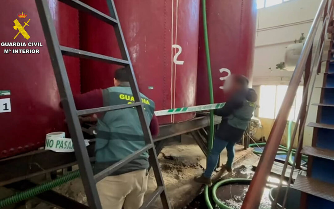 Detenidas seis personas por el hurto de 15 toneladas de aceitunas en Madrid y precintado un depósito de 26.000 litros de aceite para su venta