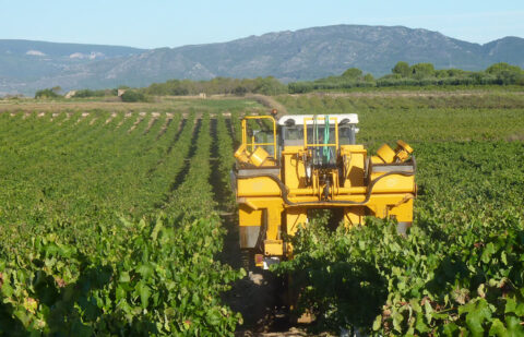 Organizaciones agrarias y Cooperativas, indignadas ante la falta de propuestas concretas para los productores vitivinícolas