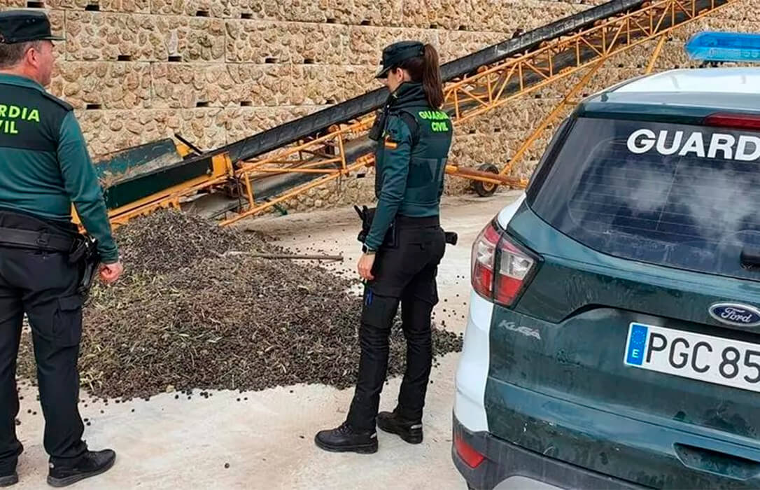 La Guardia Civil detiene a tres personas por el robo de más de media tonelada de aceitunas en Espejo (Córdoba)